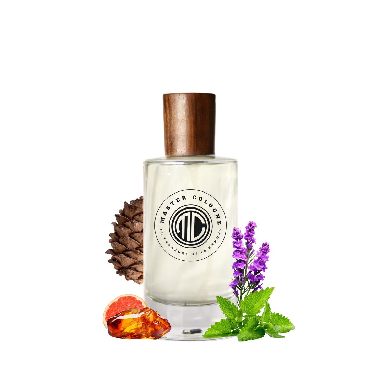 Master Aqva pour homme BVLG Cologne