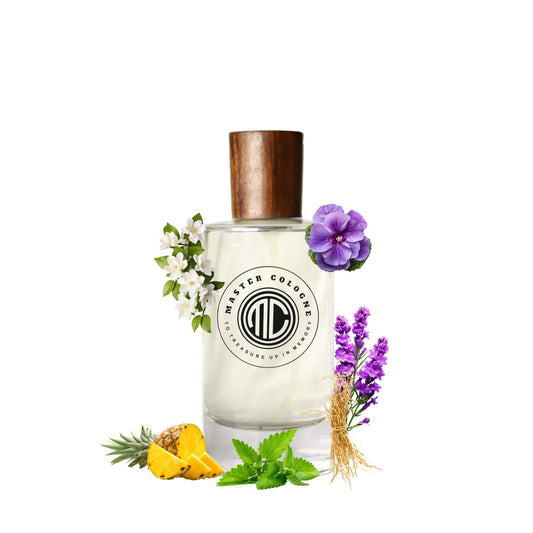 Master Individuel Cologne (inspired version)