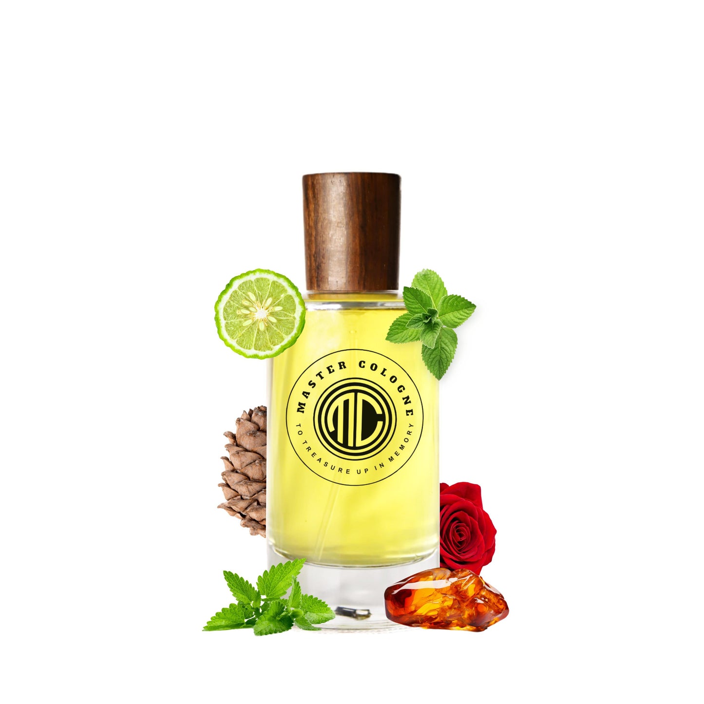 Master Xer-joff 1861 Renaissance Cologne