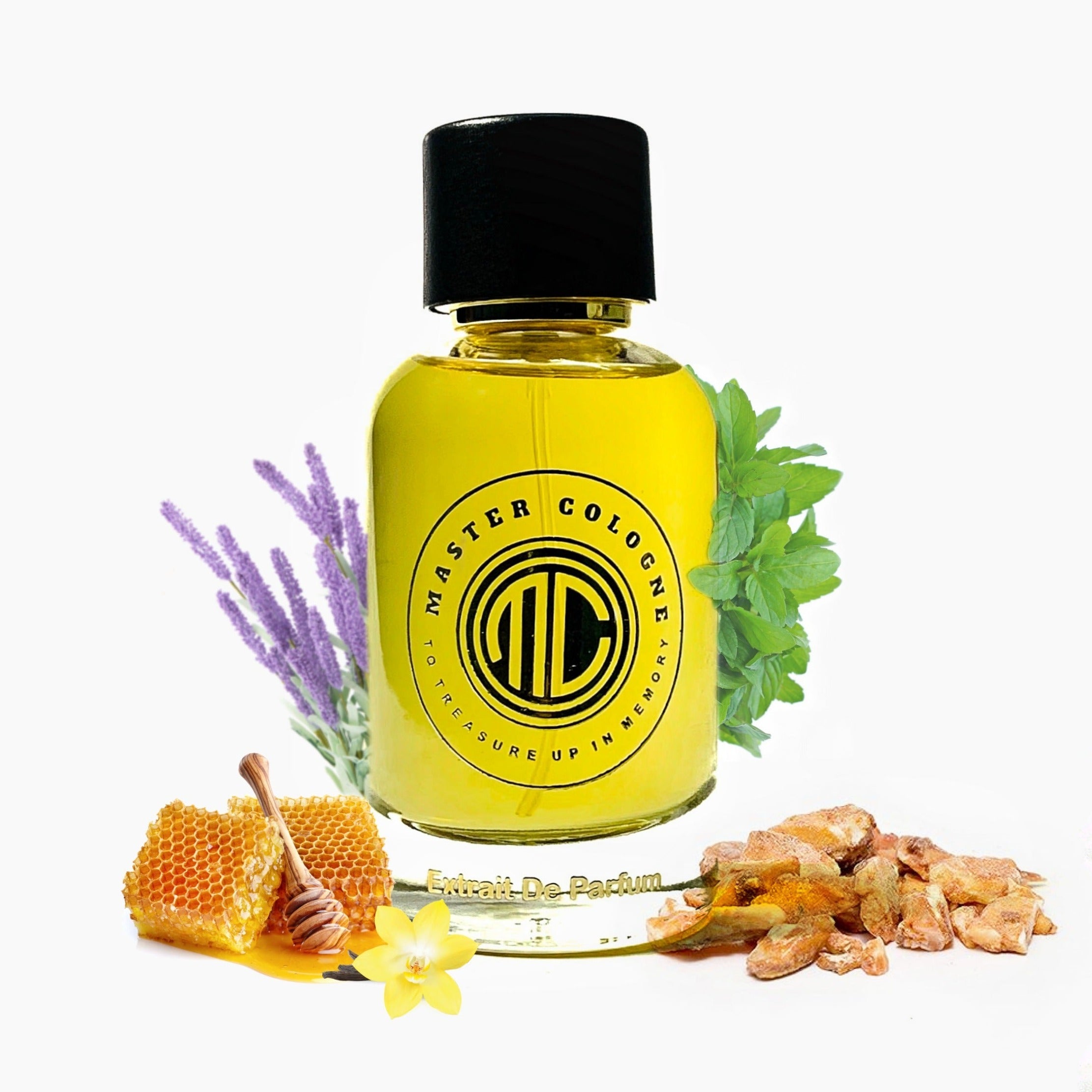 Master Le Male elixir Cologne – Master cologne